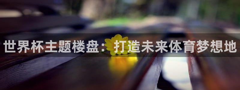 2026世界杯德国队阵容：世界杯主题楼盘：打造未来体育梦想地