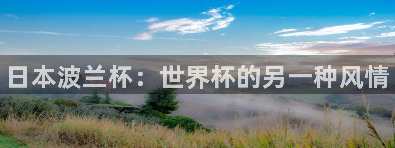世界杯预选赛亚洲区赛程:日本波兰杯:世界杯的另一种风情