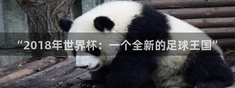 世界杯直播：“2018年世界杯：一个全新的足球王国”
