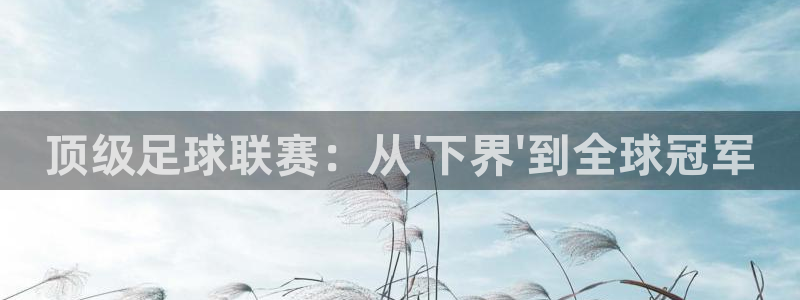 世界杯球队：顶级足球联赛：从\'下界\'到全球冠军