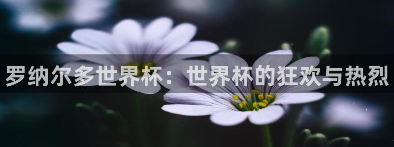 世界杯球赛:罗纳尔多世界杯:世界杯的狂欢与热烈