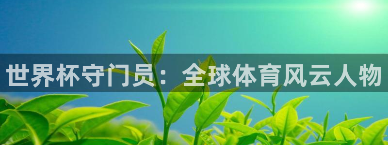 世界杯视频:世界杯守门员:全球体育风云人物