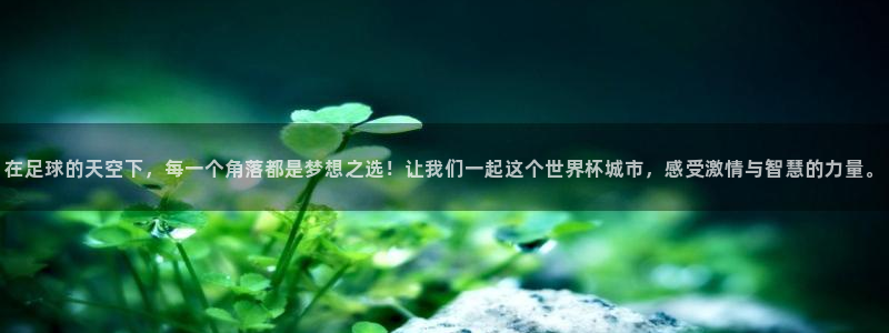 世界杯时间:在足球的天空下,每一个角落都是梦想之选!让我们一起这个世界杯城市,感受激情与智慧的力量。