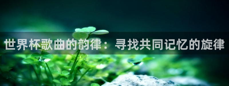 世界杯球队排名:世界杯歌曲的韵律:寻找共同记忆的旋律